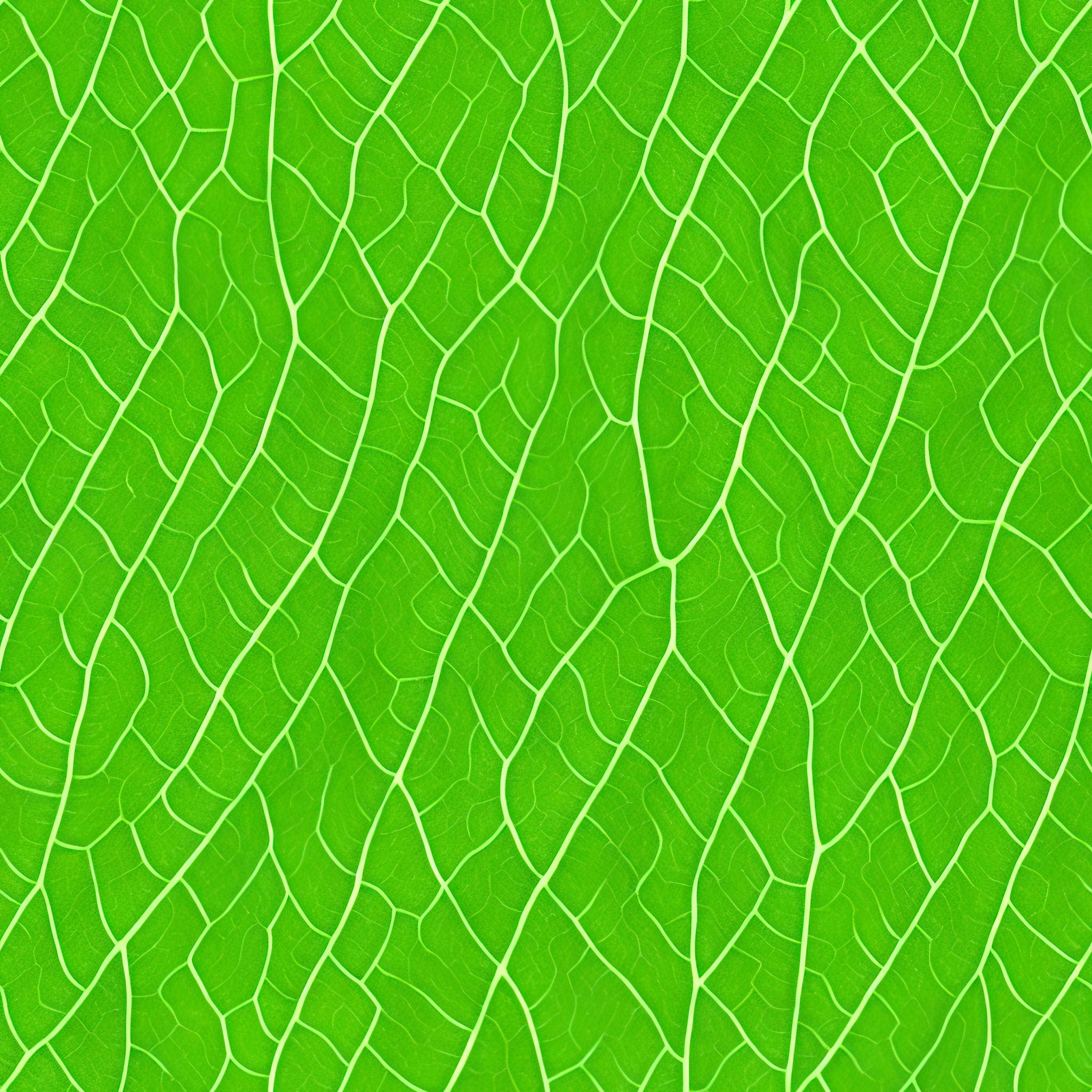 Seamless texture and structure of green leaf Digital art